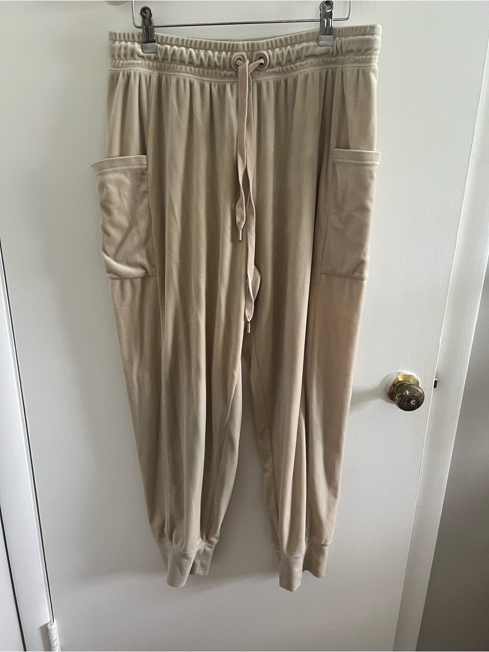 Offline by Aerie After Party Velour Joggers Size L